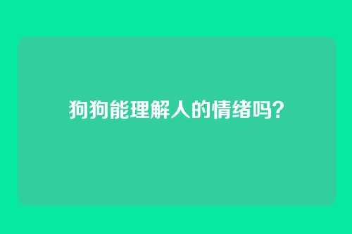 狗狗能理解人的情绪吗？