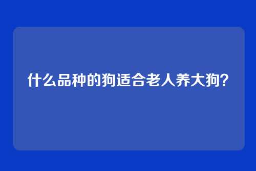 什么品种的狗适合老人养大狗？