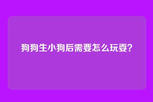 狗狗生小狗后需要怎么玩耍？