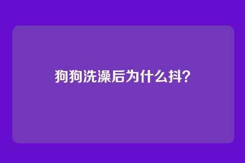 狗狗洗澡后为什么抖？