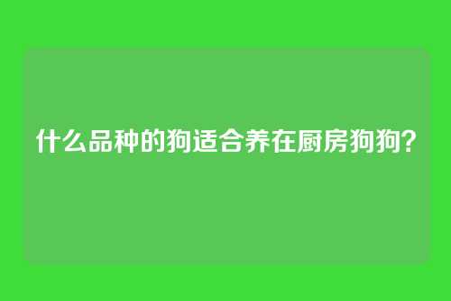 什么品种的狗适合养在厨房狗狗?