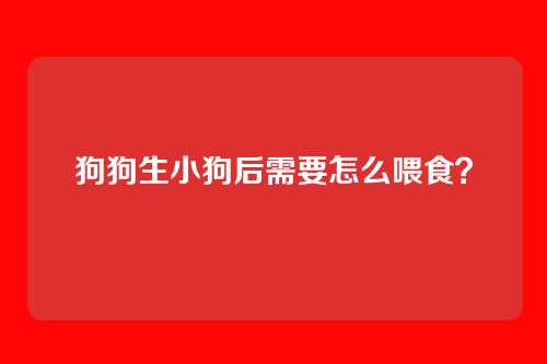狗狗生小狗后需要怎么喂食？