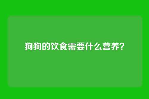狗狗的饮食需要什么营养？