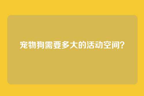 宠物狗需要多大的活动空间？