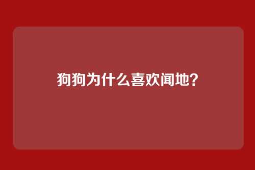 狗狗为什么喜欢闻地?