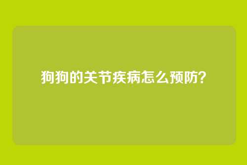 狗狗的关节疾病怎么预防?