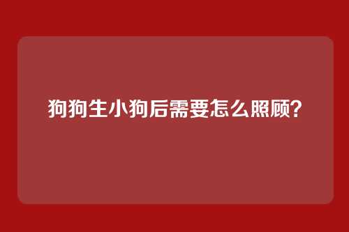 狗狗生小狗后需要怎么照顾？