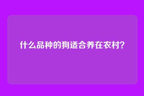 什么品种的狗适合养在农村？