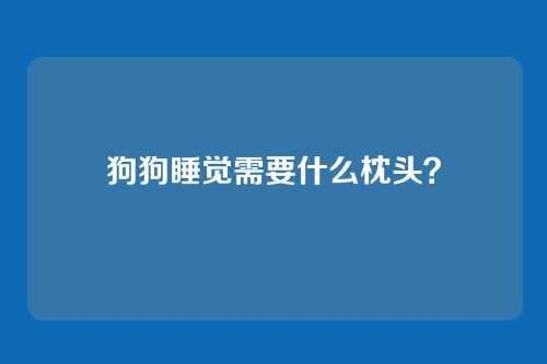 狗狗睡觉需要什么枕头？