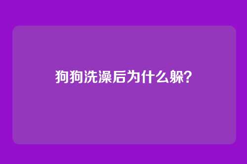 狗狗洗澡后为什么躲？