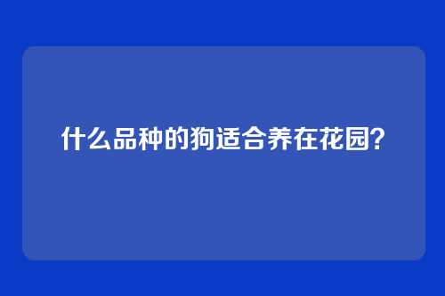 什么品种的狗适合养在花园？