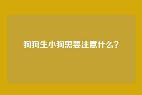狗狗生小狗需要注意什么？