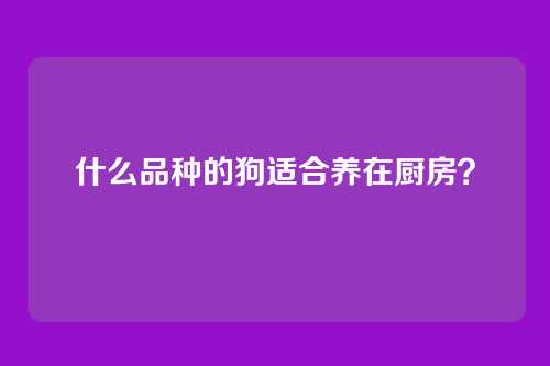 什么品种的狗适合养在厨房?