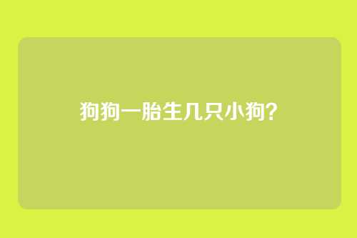 狗狗一胎生几只小狗?