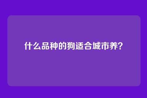 什么品种的狗适合城市养？