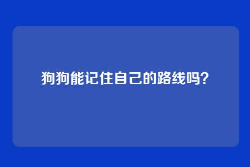 狗狗能记住自己的路线吗?