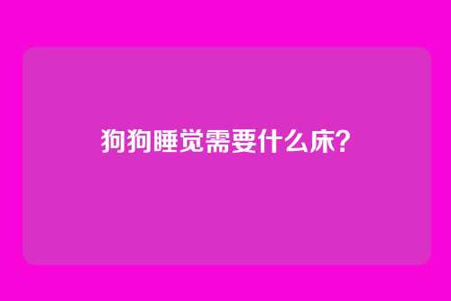 狗狗睡觉需要什么床?