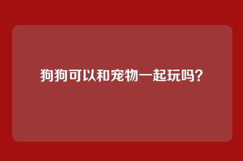 狗狗可以和宠物一起玩吗？