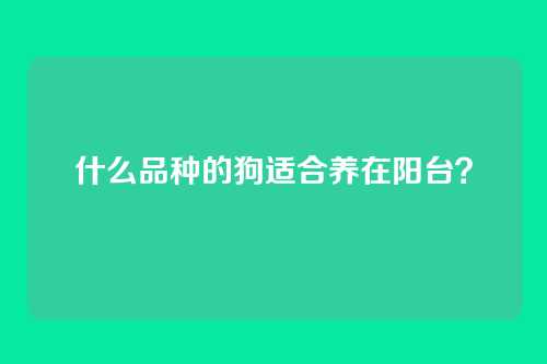 什么品种的狗适合养在阳台？