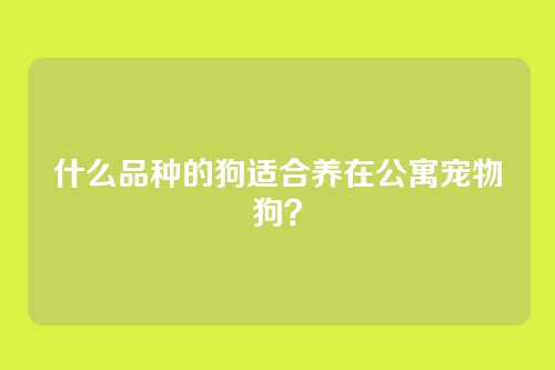 什么品种的狗适合养在公寓宠物狗？