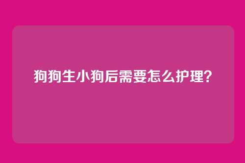 狗狗生小狗后需要怎么护理？
