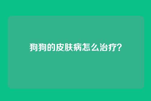 狗狗的皮肤病怎么治疗？