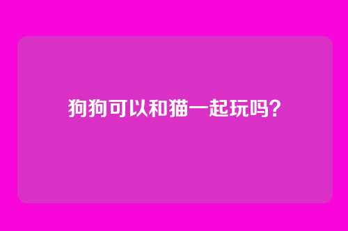 狗狗可以和猫一起玩吗？