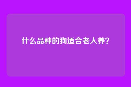 什么品种的狗适合老人养？