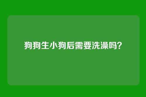 狗狗生小狗后需要洗澡吗？
