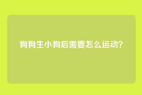 狗狗生小狗后需要怎么运动?