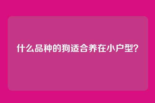 什么品种的狗适合养在小户型？