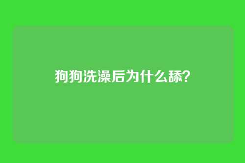 狗狗洗澡后为什么舔?