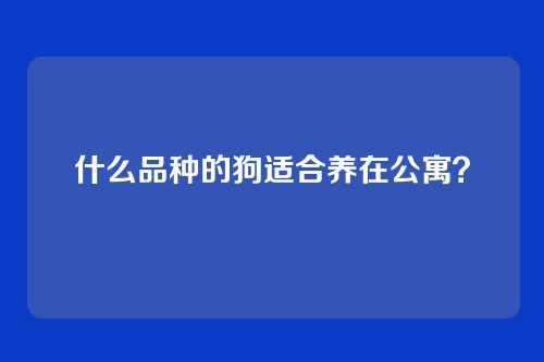什么品种的狗适合养在公寓？