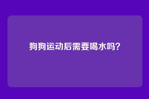 狗狗运动后需要喝水吗？
