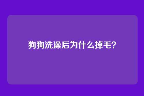狗狗洗澡后为什么掉毛？