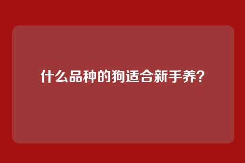 什么品种的狗适合新手养？
