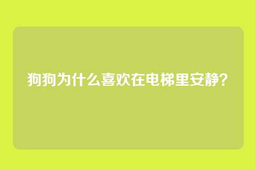 狗狗为什么喜欢在电梯里安静？