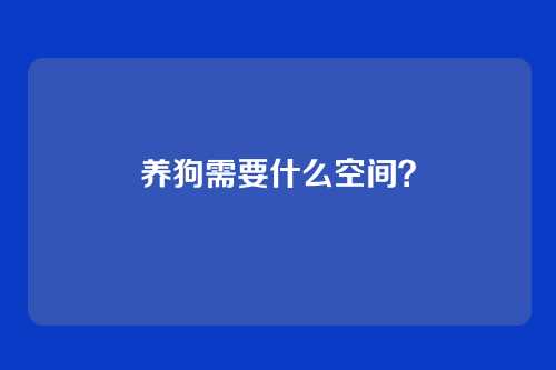 养狗需要什么空间？