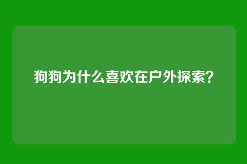 狗狗为什么喜欢在户外探索？