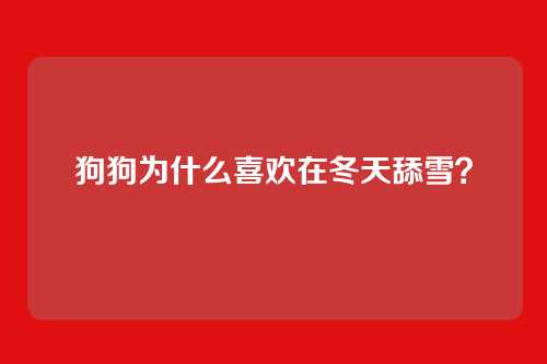 狗狗为什么喜欢在冬天舔雪?