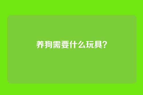 养狗需要什么玩具？