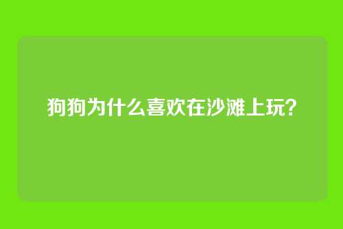 狗狗为什么喜欢在沙滩上玩？