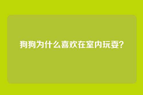 狗狗为什么喜欢在室内玩耍？