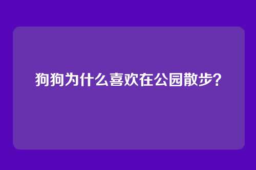 狗狗为什么喜欢在公园散步？