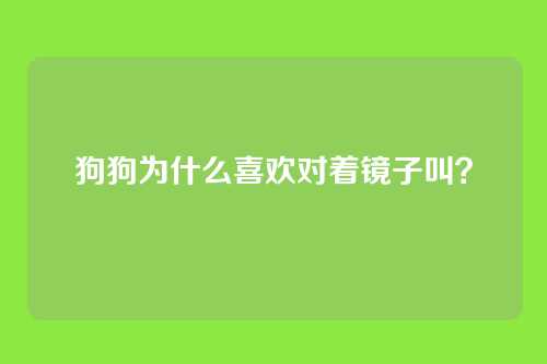 狗狗为什么喜欢对着镜子叫？