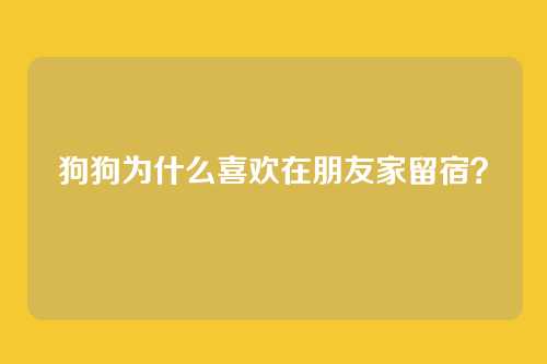 狗狗为什么喜欢在朋友家留宿？