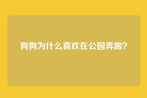 狗狗为什么喜欢在公园奔跑？