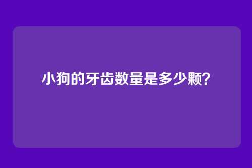 小狗的牙齿数量是多少颗？