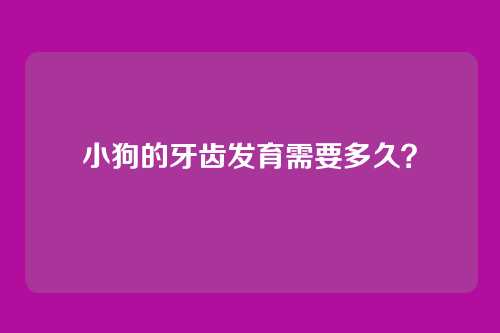 小狗的牙齿发育需要多久？