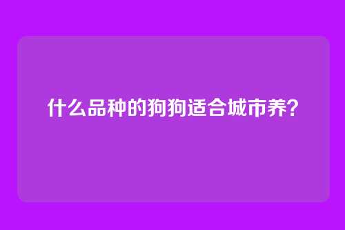 什么品种的狗狗适合城市养？